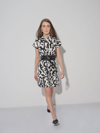 brush stroke dress chinese collar walking • Sassa Björg