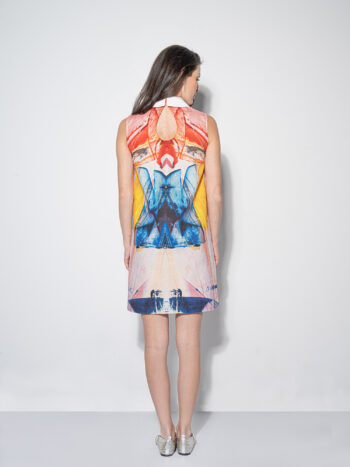 oil paint collage dress w collar back • Sassa Björg