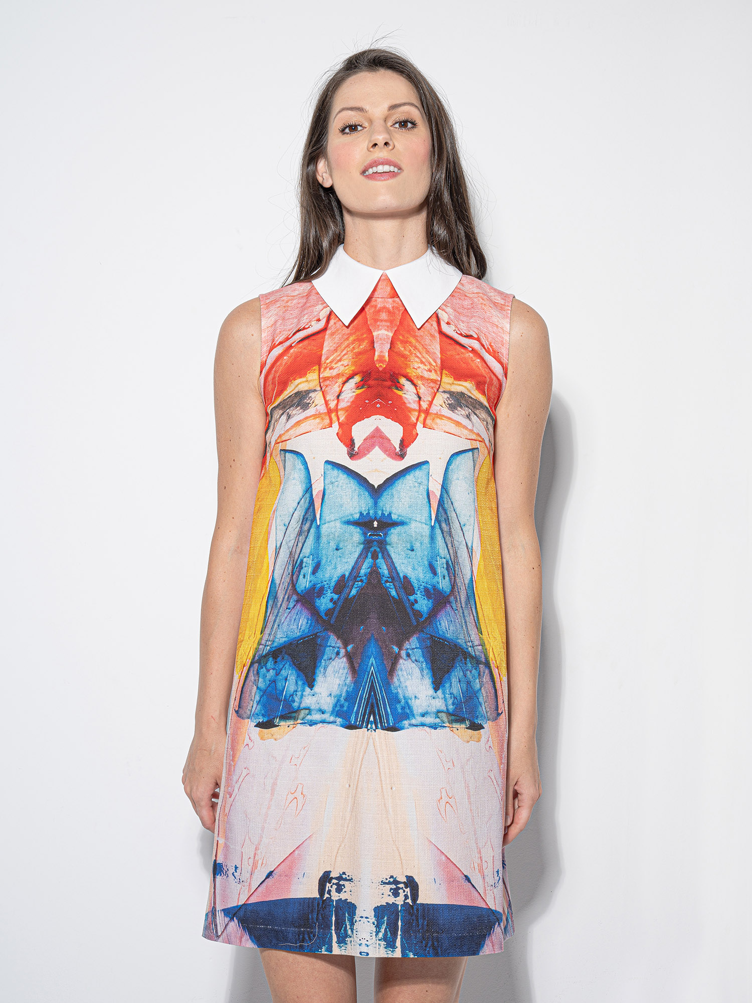 oil paint collage dress w collar crop • Sassa Björg
